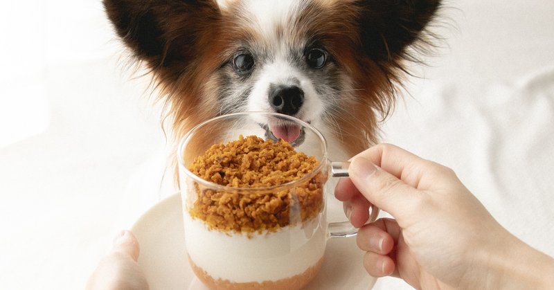 フライパン 電子レンジでok かぼちゃクランブルとりんごのヨーグルトパフェ 手作り犬おやつレシピ いちかわあやこ 犬ごはん先生 Note