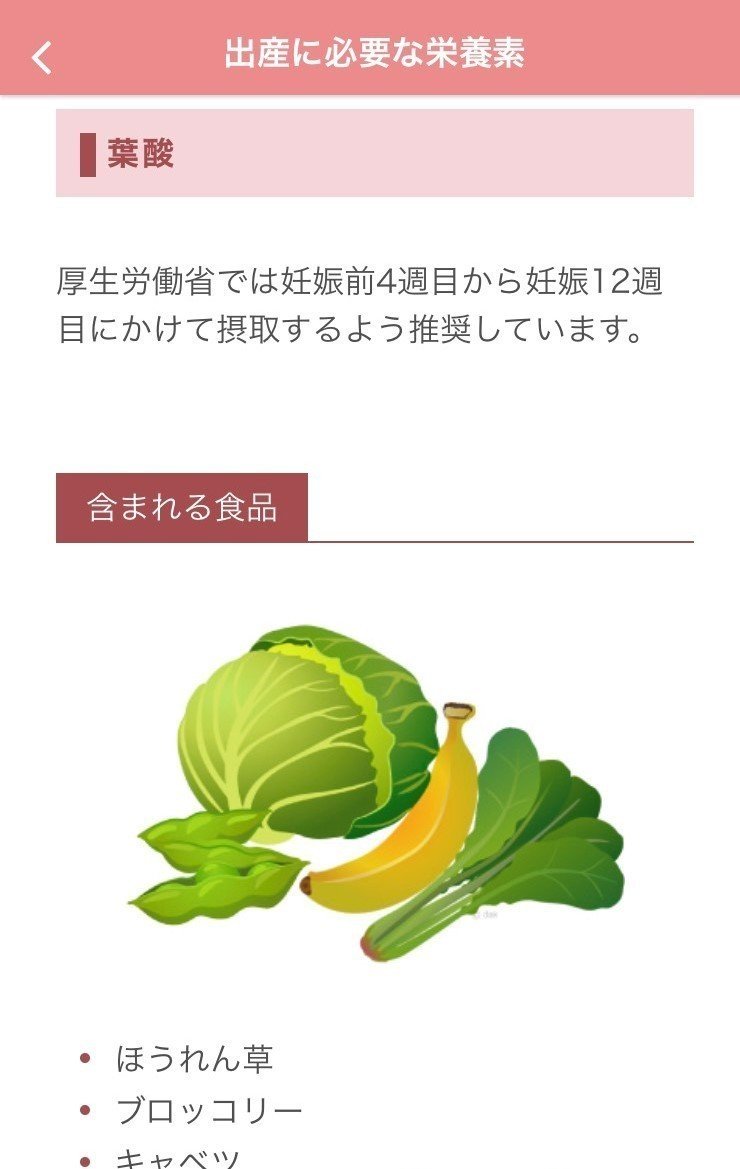 情報コンテンツ例