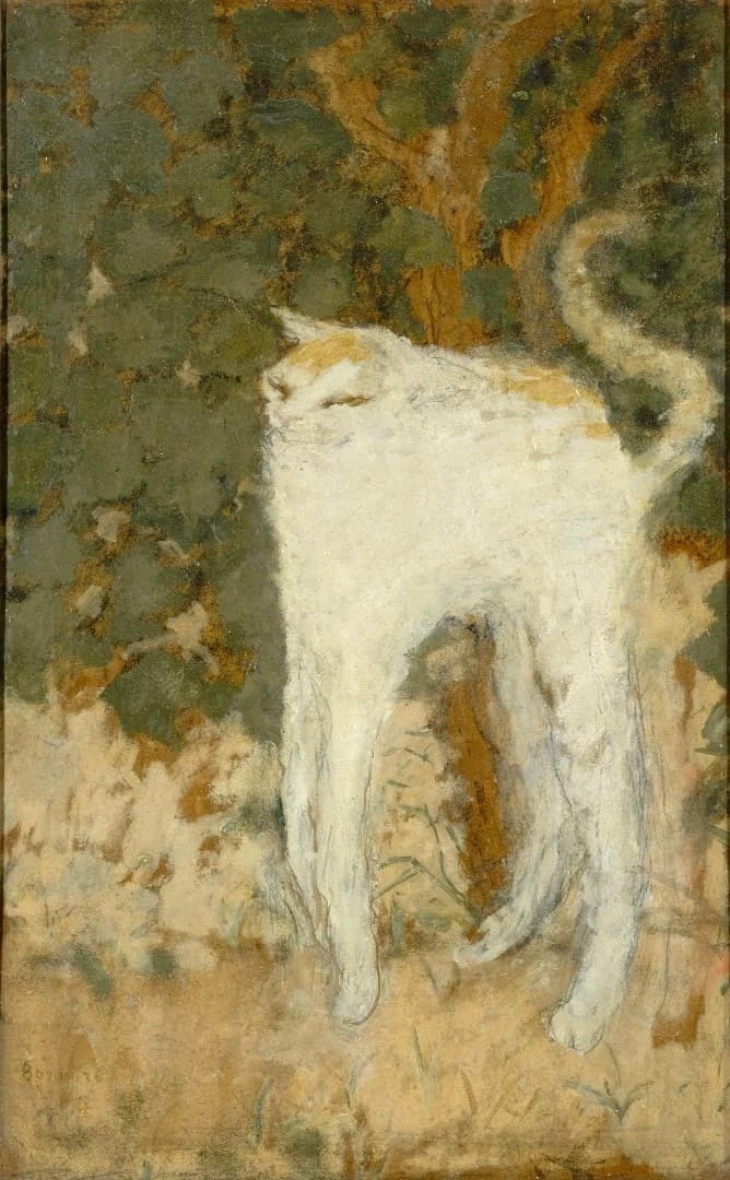 猫_ボナール