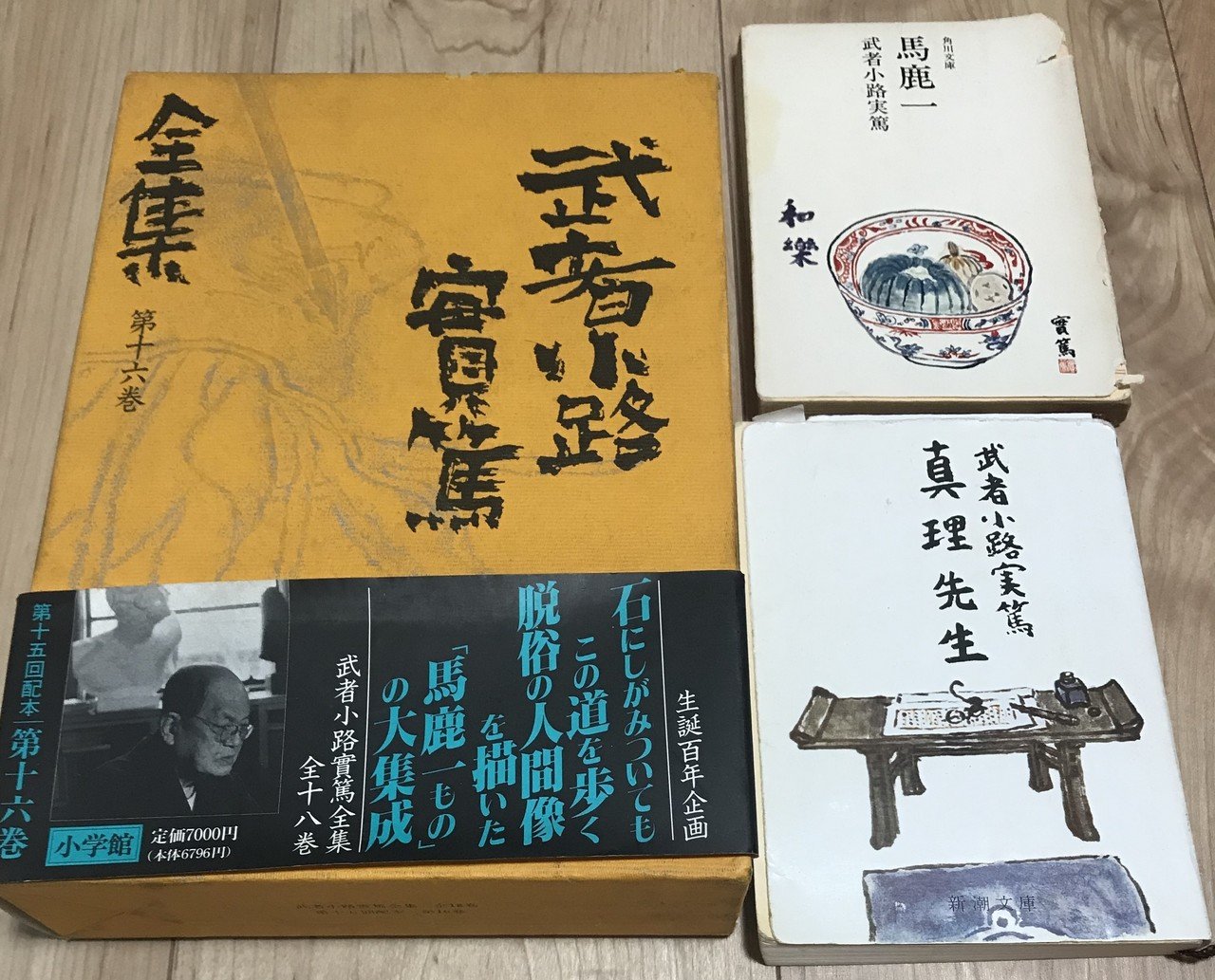 届かない憧れを語る人間に共鳴する〜武者小路実篤「山谷もの」論より