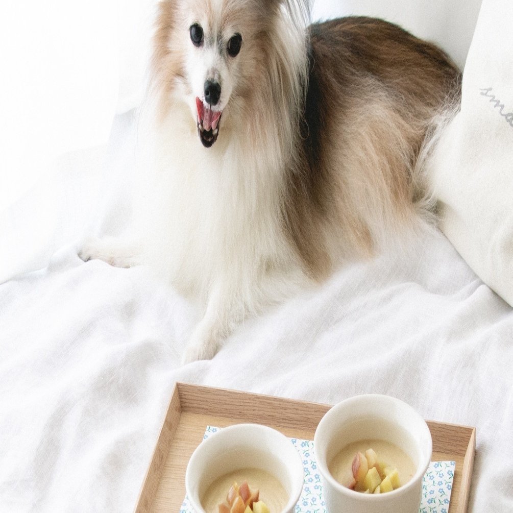 ミキサーで作る甘いスープ りんごとさつまいもの豆乳ポタージュ 手作り犬おやつレシピ 単品購入 いちかわあやこ 犬ごはん先生 Note