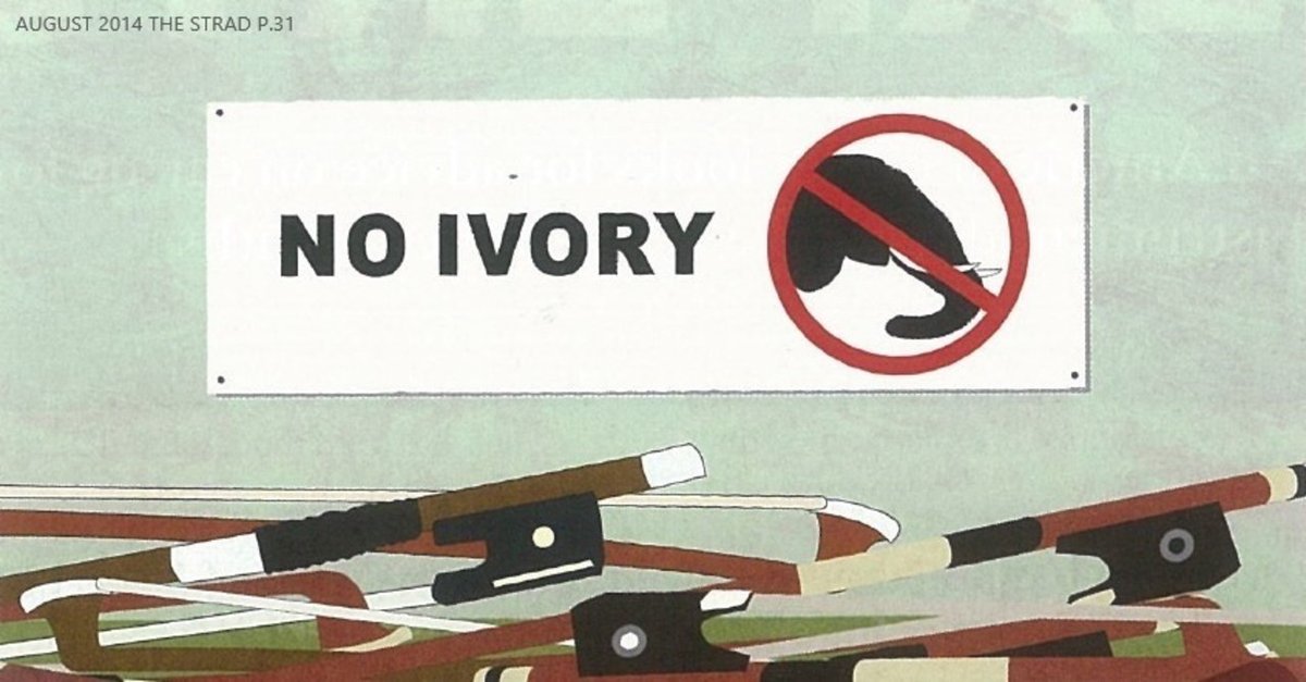 楽弓の貴重な材料｜IKEJIRI Violin Works 