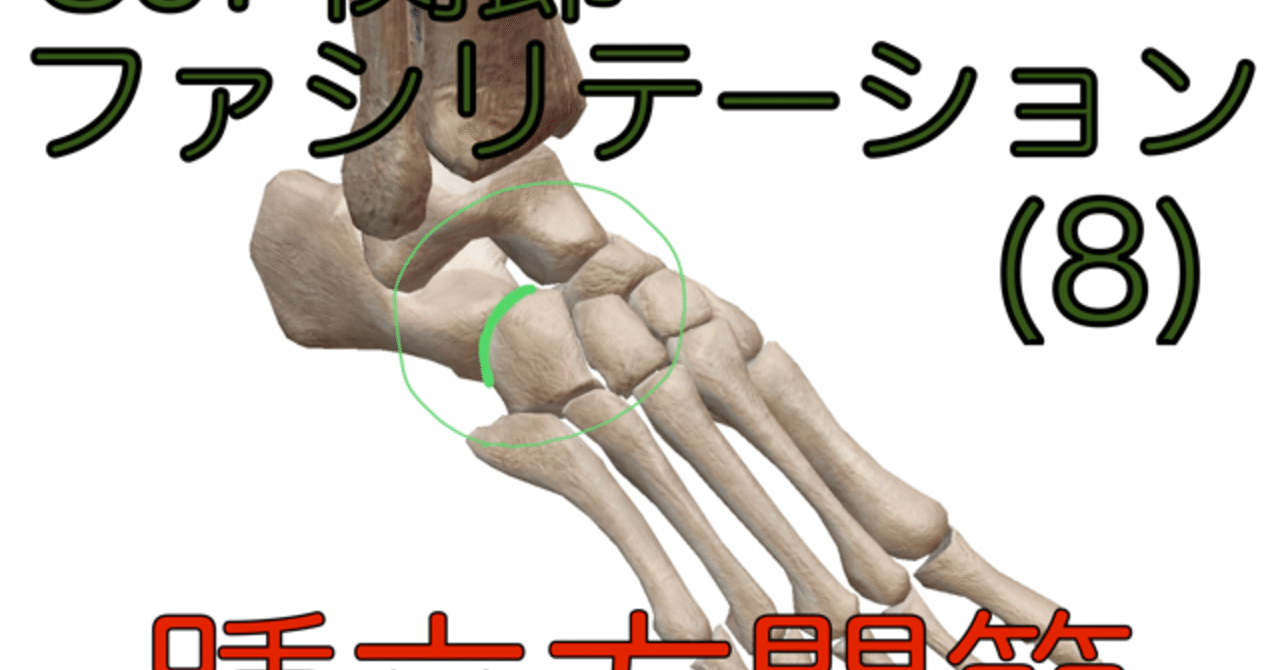 SJF関節ファシリテーション(8)踵立方関節｜ParasiteJ.J.