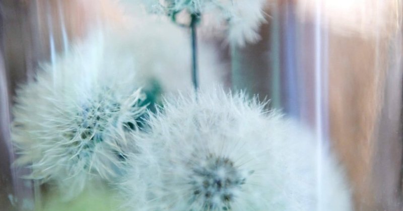 すべてを変えた あの日…(16)