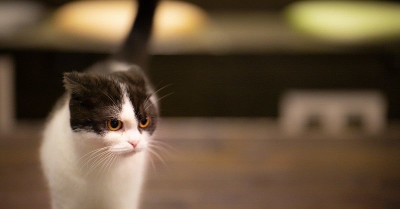 心のこもった言葉には人を感動させるパワーがあるって話 タニリョウジ Note