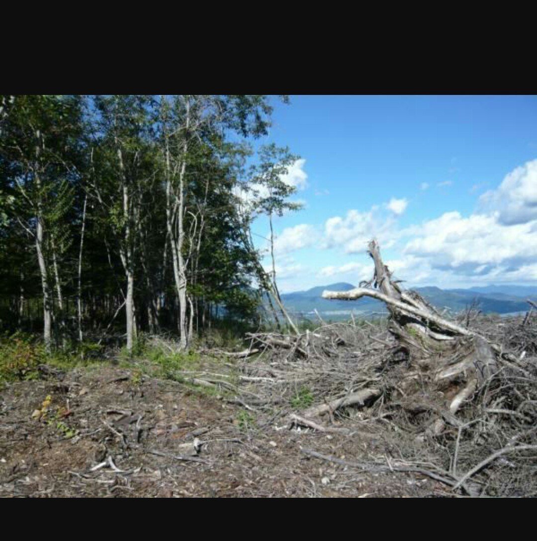 自然破壊 Hissa Note 自然破壊 Hissa Note