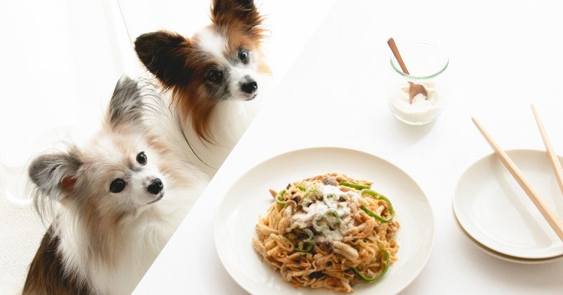 野菜麺のナポリタン風犬ごはん 月額限定 手作り犬ごはんレシピ いちかわあやこ 犬ごはん先生 Note 野菜麺のナポリタン風犬ごはん 月額限定 手作り犬ごはんレシピ いちかわあやこ 犬ごはん先生 Note