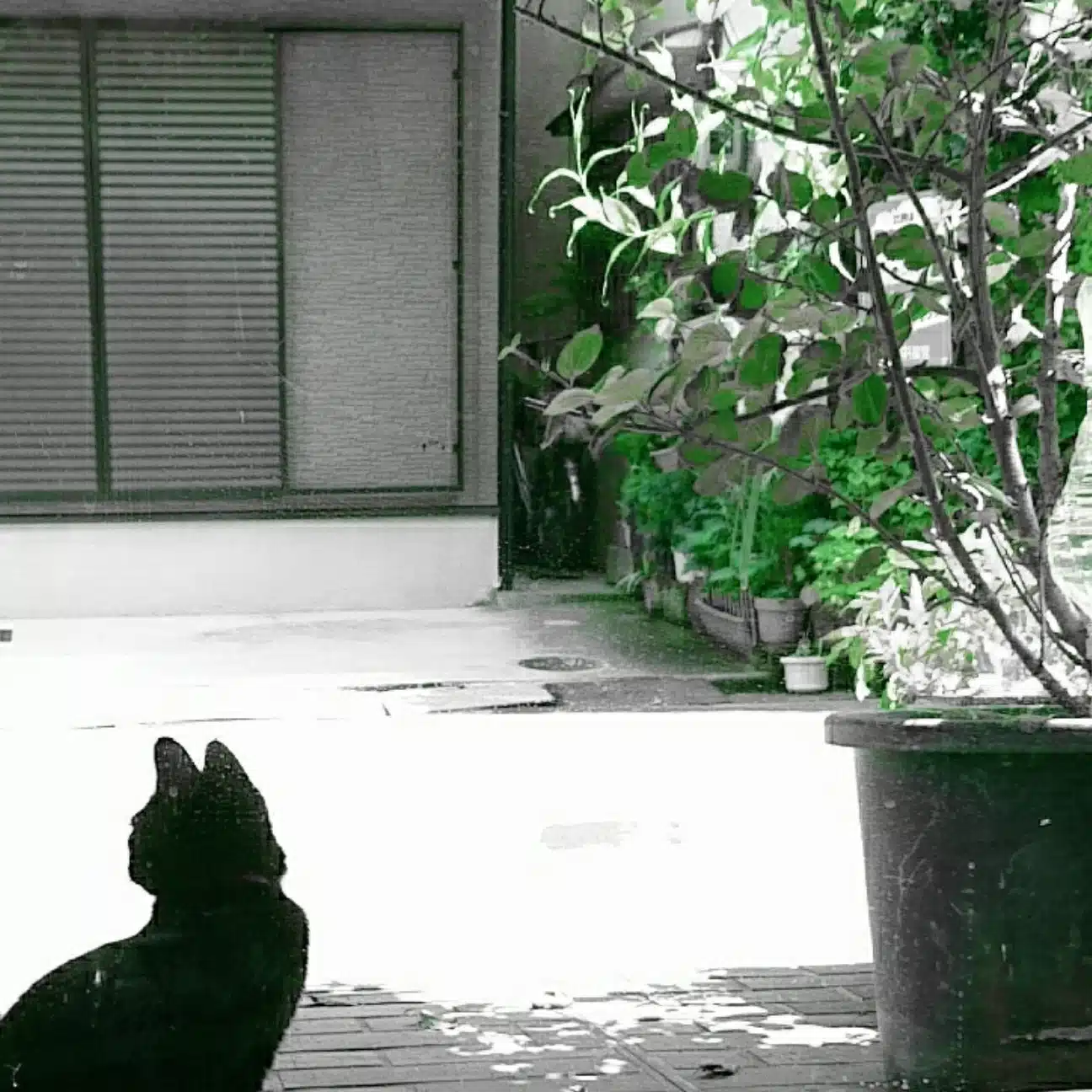 ひー