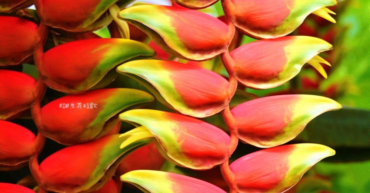 10月31日 誕生花は鸚鵡花 誕生花短歌 御子柴 流歌 Note