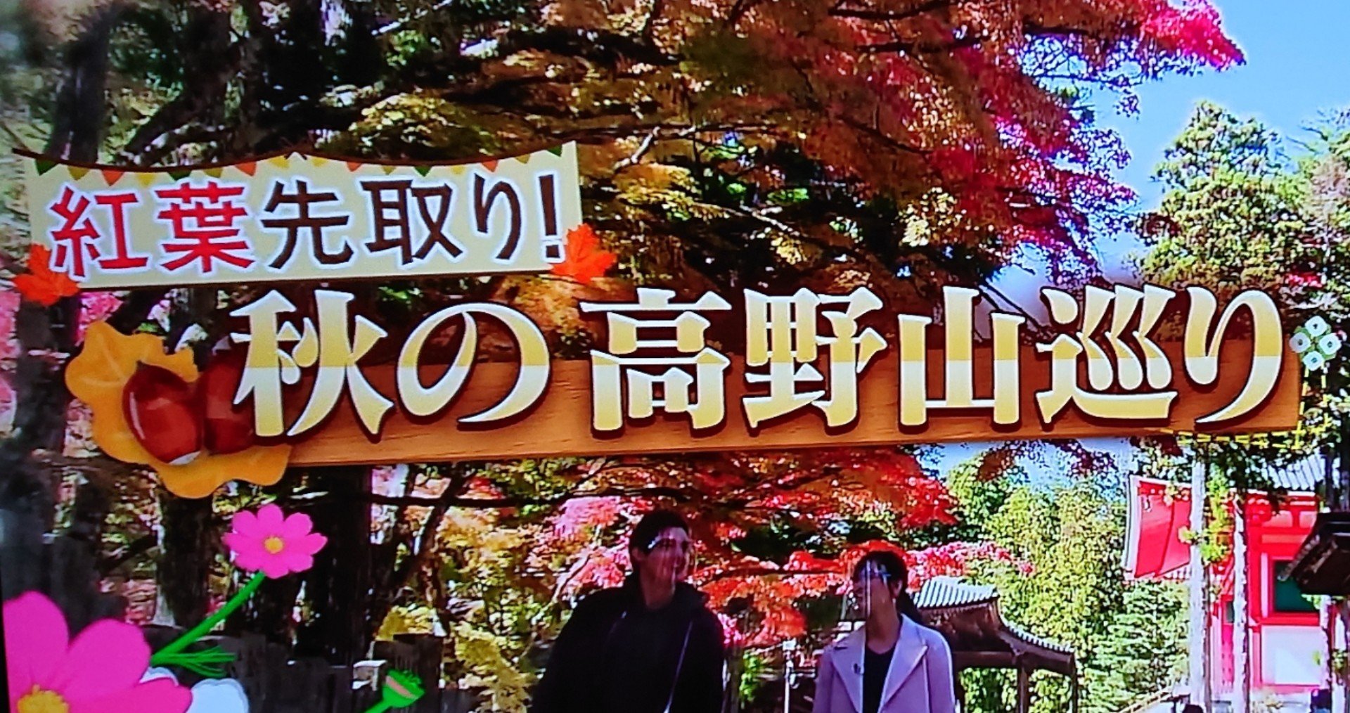 紅葉先取り 秋の高野山がテレビで紹介されました 高野山法徳堂 空海と高野山の魅力を独自の視点で伝えています Note 紅葉先取り 秋の高野山がテレビで紹介されました 高野山法徳堂 空海と高野山の魅力を独自の視点で伝えています Note