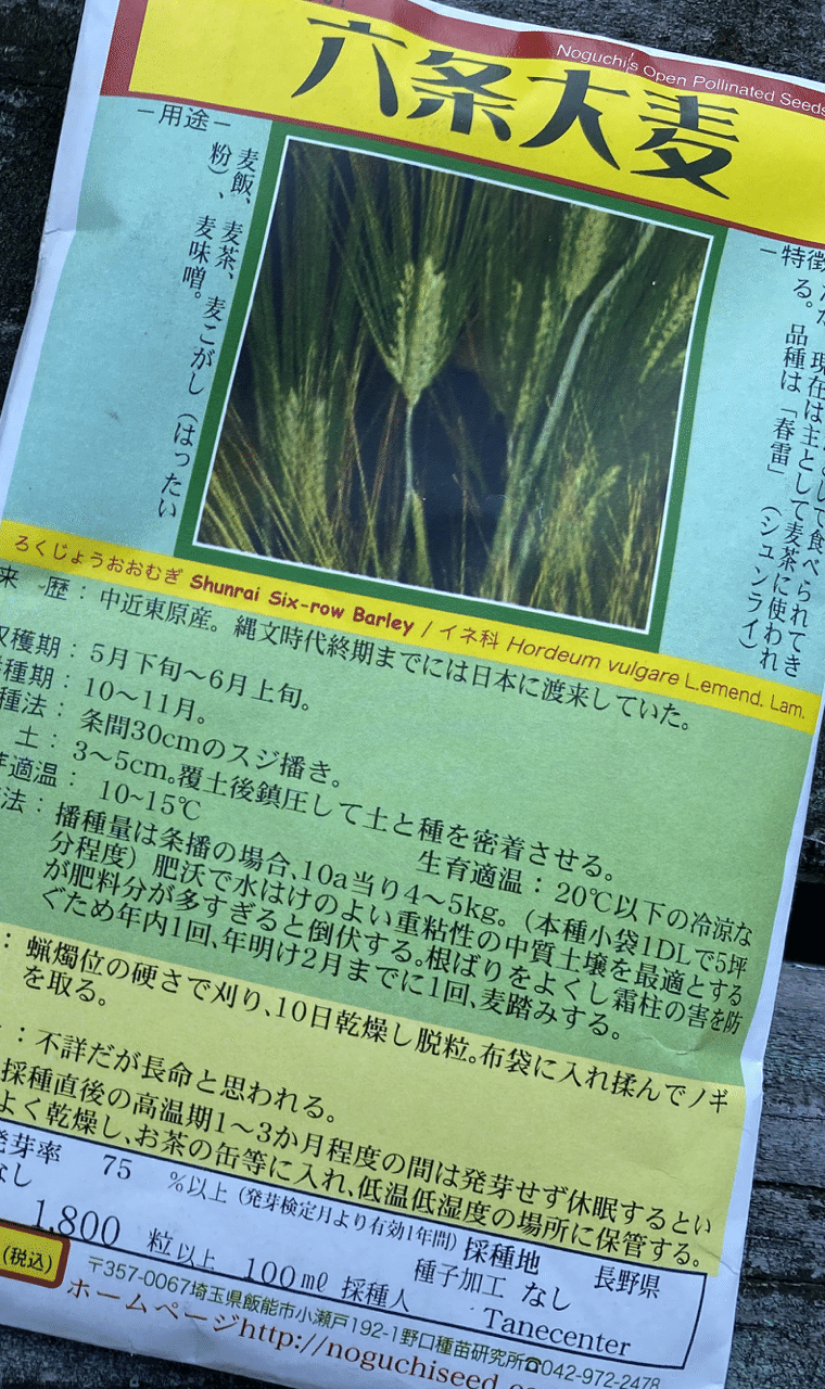 Vol 48 11月はエンドウ 大麦 ころの庭 ー自然菜園とハーブとアロマー Note Vol 48 11月はエンドウ 大麦 ころの庭 ー自然菜園とハーブとアロマー Note