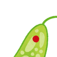 003 エディアカラ生物群 Pino3 Note 003 エディアカラ生物群 Pino3 Note