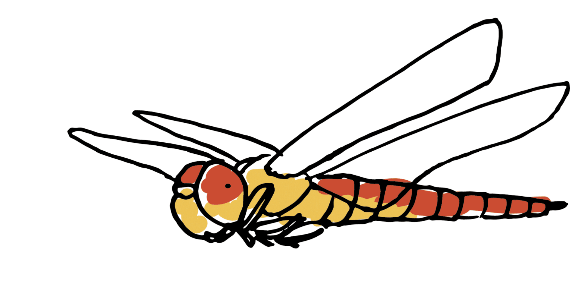冬に全滅してしまうけれど 毎年日本へやってくる開拓者 ウスバキトンボの話 浜松科学館 みらいーら