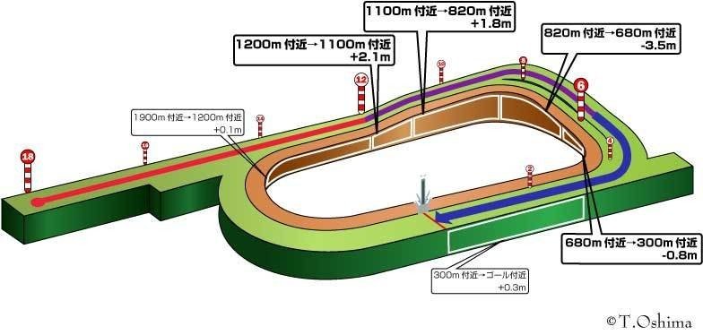 馬場 8/6(土) 新潟競馬場 馬場状態＆全レース分析(展開注目データ