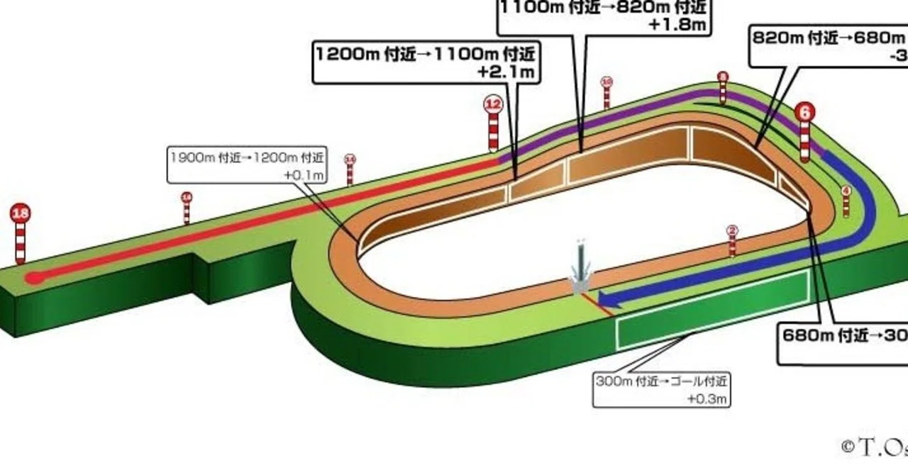 京都競馬場の馬場状態と最新傾向！クッション値と内外有利の真相