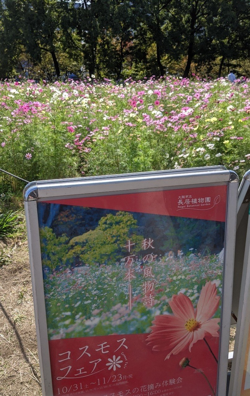 コスモス満開 秋の大阪市立長居植物園 める Note