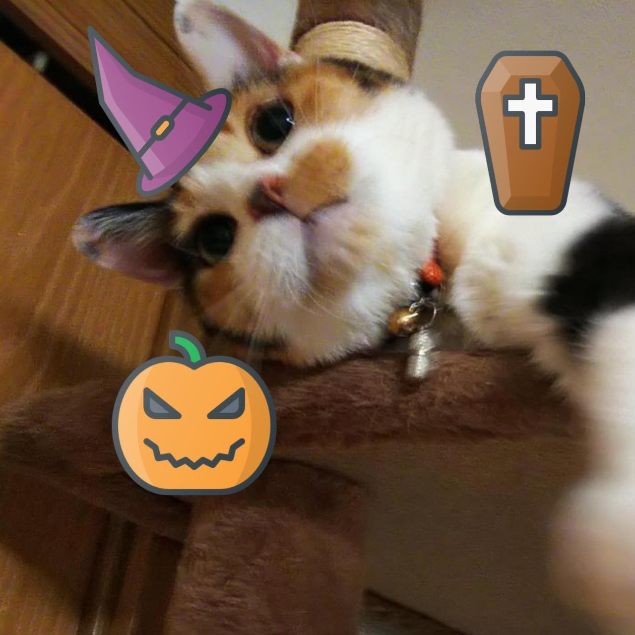満月のハロウィン 猫愛すクリーム Note 満月のハロウィン 猫愛すクリーム Note
