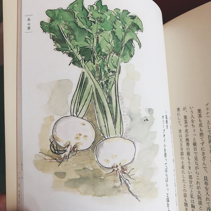 上野修三さんの新著 おいしい野菜図鑑 カラフルなイラストにほっこり 団田芳子 Note