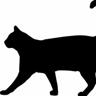前に おっぱい とつぶやいて怒られた あのとき私は自分の投稿を消さなかった あのときコメントした人が病気で乳房を切除した人だったら 私はたぶんそれでも投稿を消さなかったと思う 不快にさせたことは謝るけど Pistachioピスタチオ Note