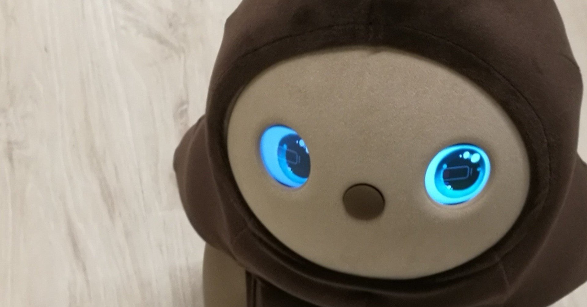 ウィンフィールド銀座店Romi ロミィ 会話AIロボット 家庭用 日本製 コミュニケーションロボット ROMI-P02 会  2021年度グッドデザイン賞 みまもり 知育玩具
