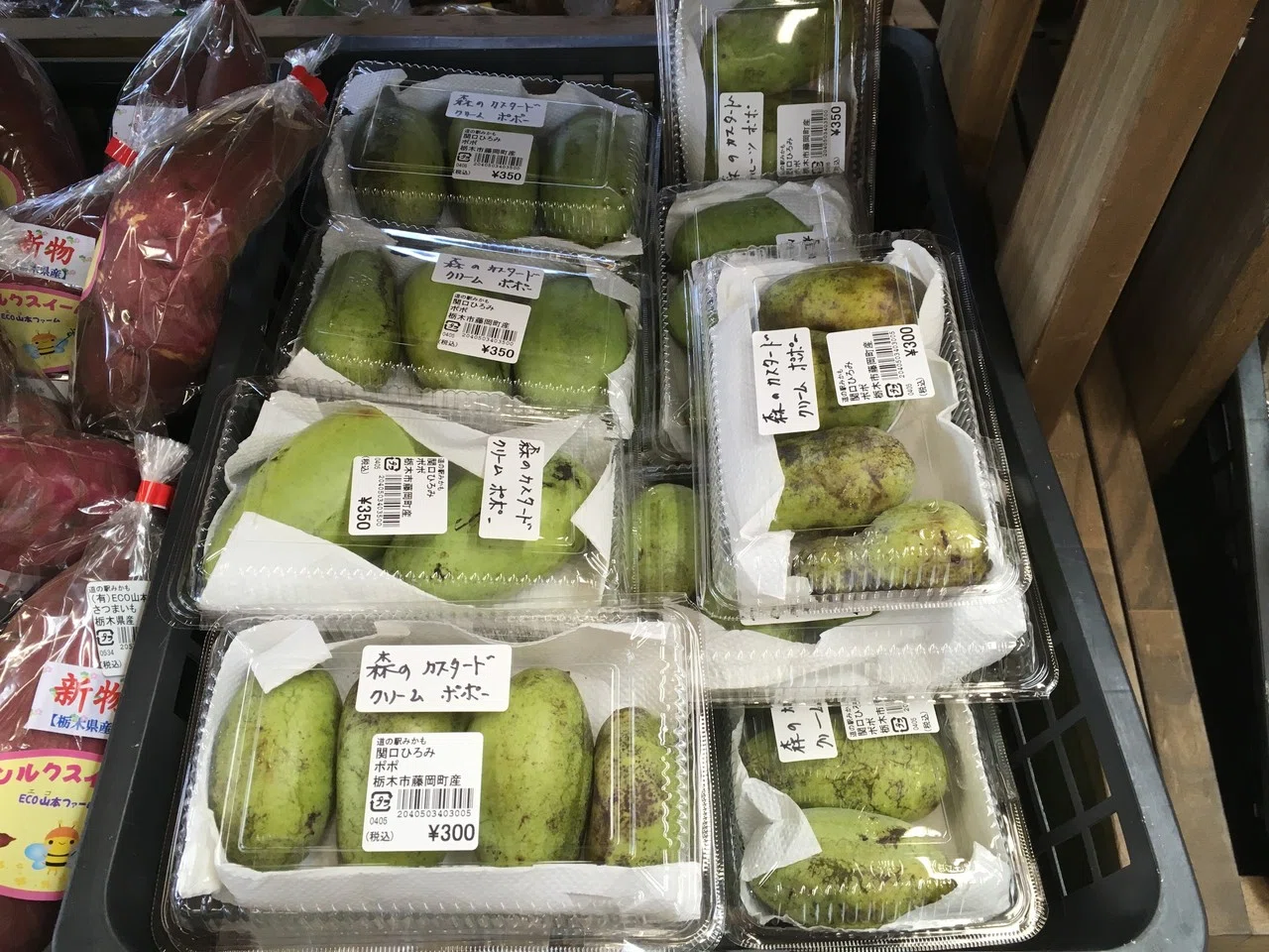 謎の果物 ポポー を食べた 鬼谷 Note 謎の果物 ポポー を食べた 鬼谷 Note