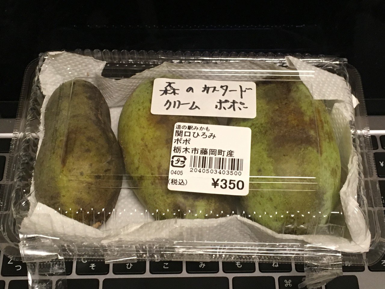 謎の果物 ポポー を食べた 鬼谷 Note