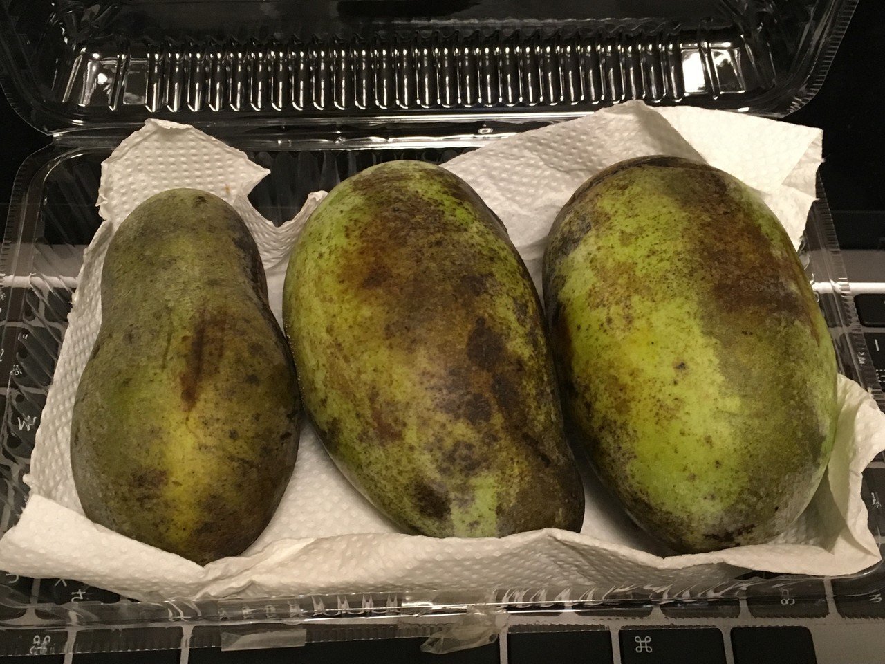 謎の果物 ポポー を食べた 鬼谷 Note