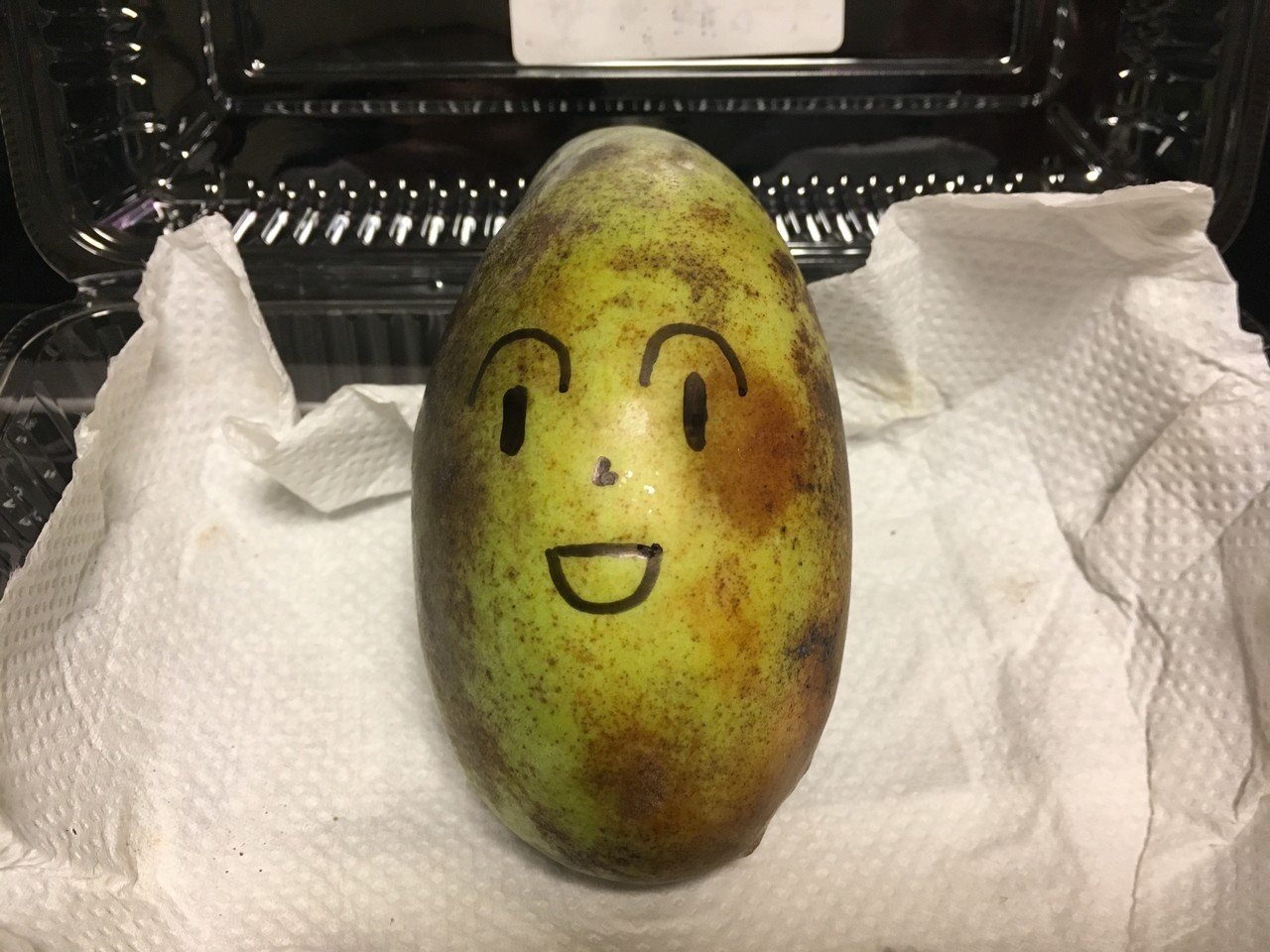 謎の果物 ポポー を食べた 鬼谷 Note