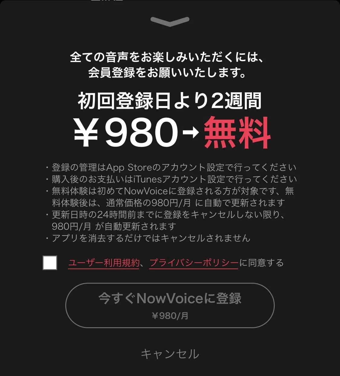 画像12