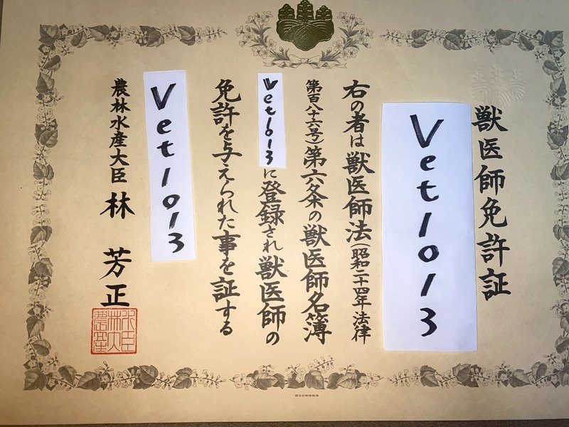 獣医師解説 犬の玉ねぎ中毒 症状 原因 治療法 Vet1013 Note 獣医師解説 犬の玉ねぎ中毒 症状 原因 治療法 Vet1013 Note