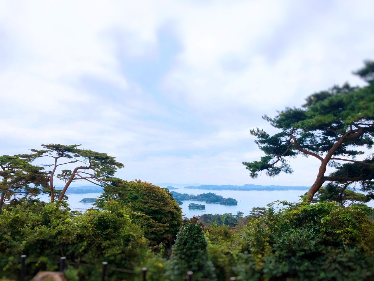 日本三景の松島に来ました 仙台からロードバイクをレンタルして海岸線を走って松島へ 往復60km 旅先で自転車を借りたのは初めて 電車や車 で移動するより自転車で移動した方が街並みが頭に入るし やわらかメガネりょう Note