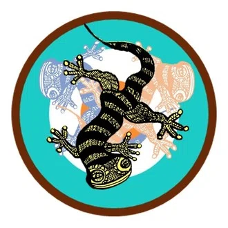 中島亮