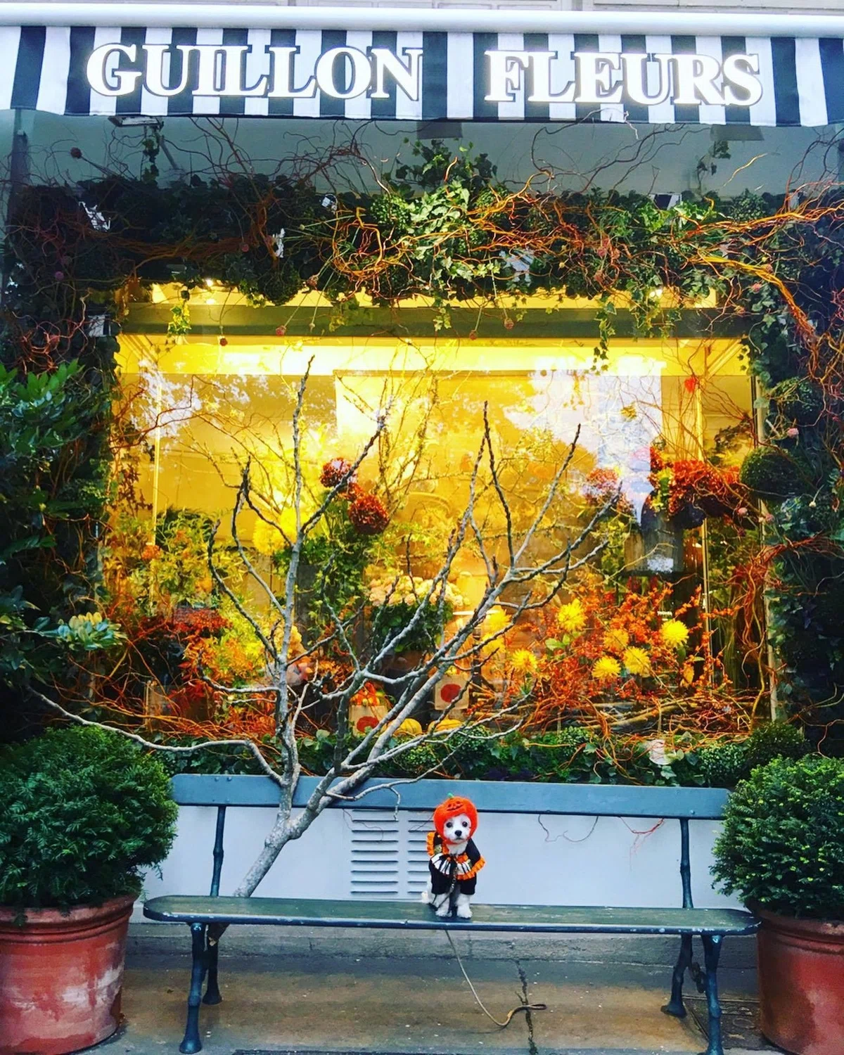 画像5