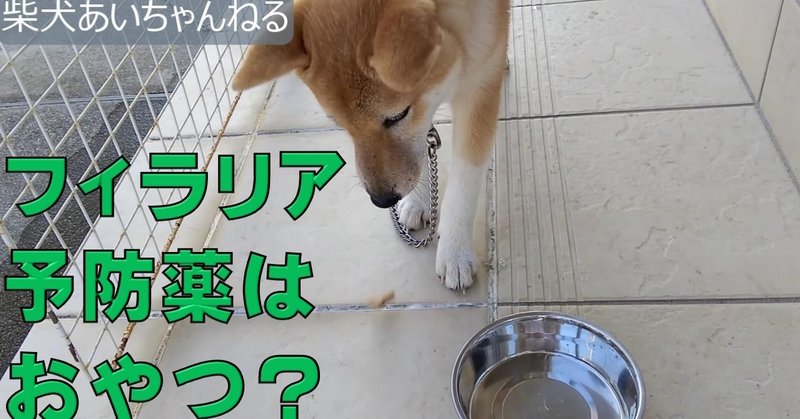 犬のフィラリア予防薬はおやつ？