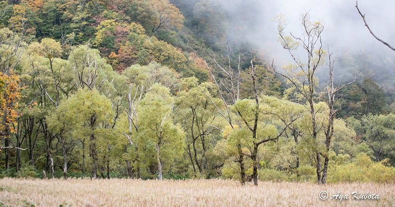 鎌池