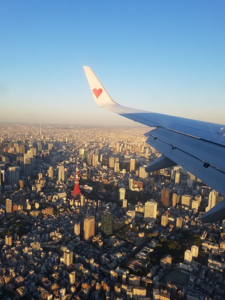 #202001101 #今日の東京タワー 飛行ルート変更。東京タワー🗼さん❤