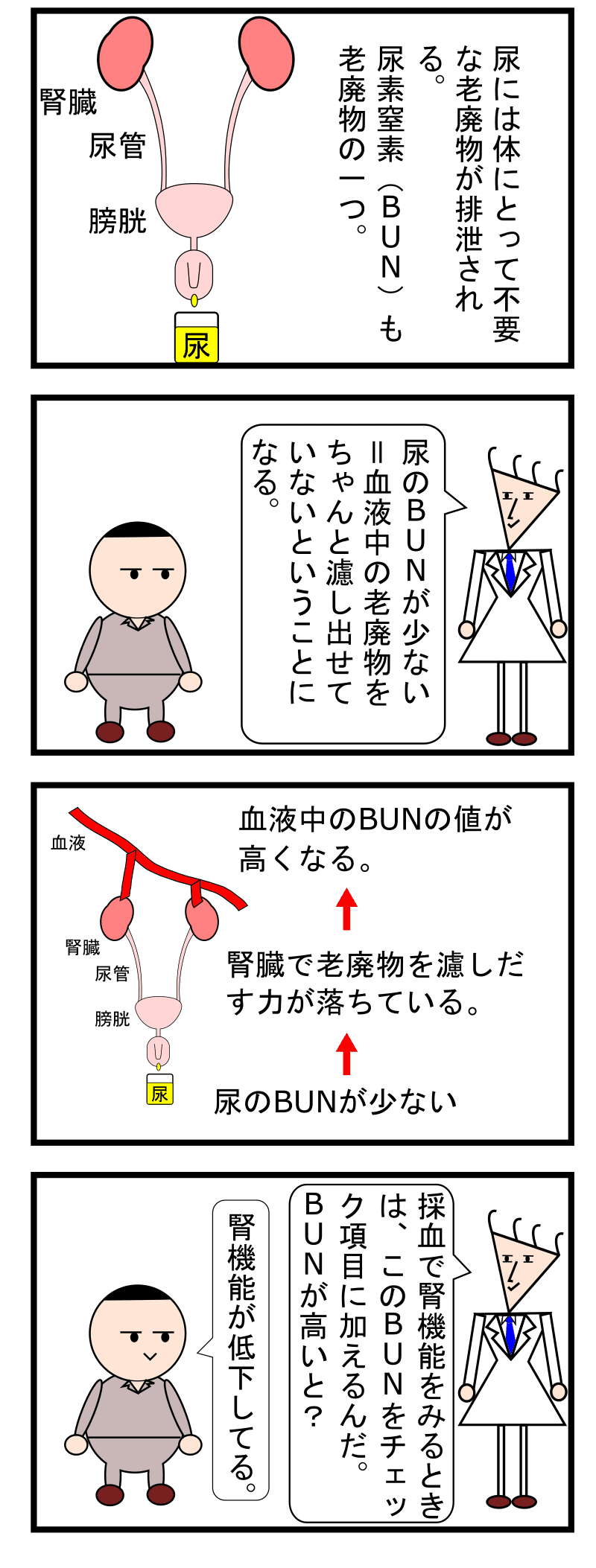 第36話 腎臓 泌尿器系4 腎臓が弱っているとどうなる ずんだーれ Note 第36話 腎臓 泌尿器系4 腎臓が弱っているとどうなる ずんだーれ Note