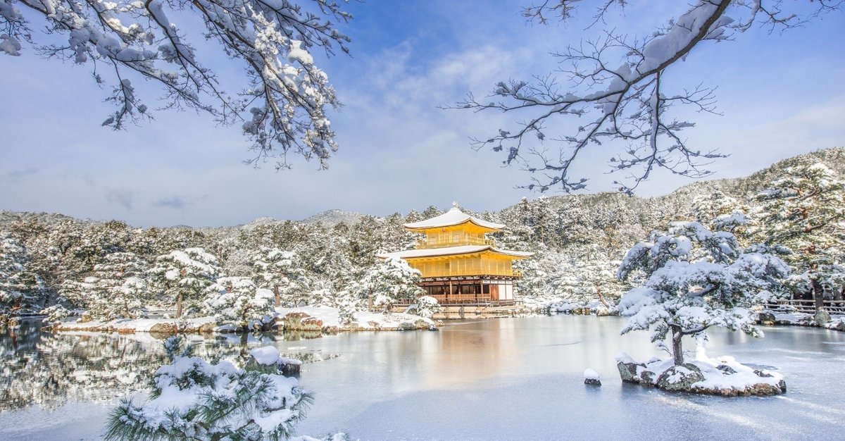三島由紀夫　春の雪／奔馬／金閣寺／美しい星／潮騒／青の時代／獣の戯れ／愛の渇き 美しい星 (新潮文庫) | 由紀夫, 三島 |本 | 通販 | Amazon