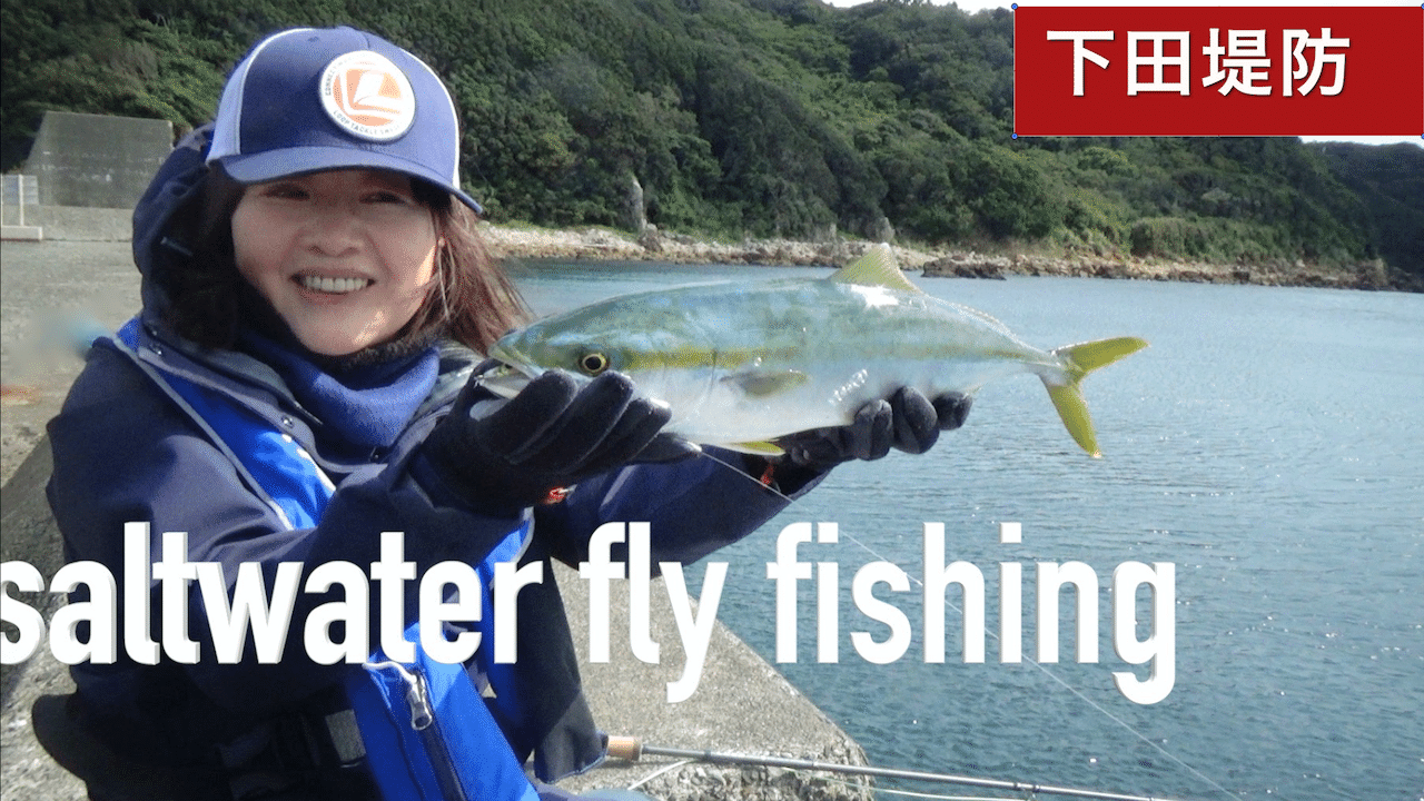 東京から片道2時間の伊豆半島へ秋の青物釣りに行ってまいりました 下田の堤防に到着してすぐにイワシのボイルが始まりました フローティングラインで釣れました 釣り人が 青物 と呼ぶ魚は アジの仲間 サバ 大谷泰子フライフィッシング Note