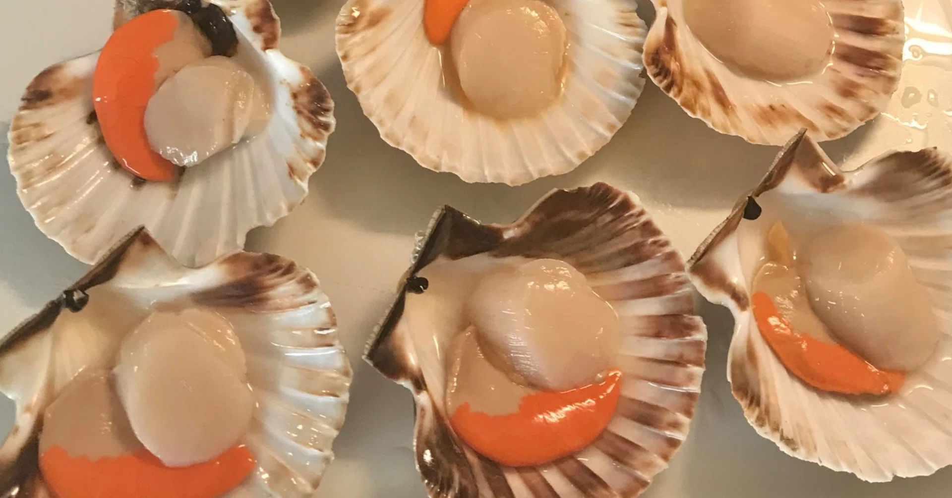 海風に吹かれる私の心と帆立貝｜chef ichi