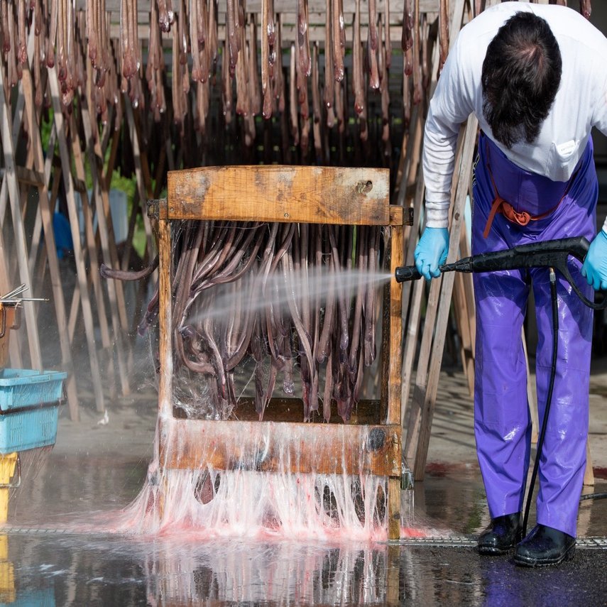 秋田県内で唯一 棒アナゴ を作る漁師の思い 株式会社兼丸漁業 伊藤徳洋 あきたびじょんbreak Note