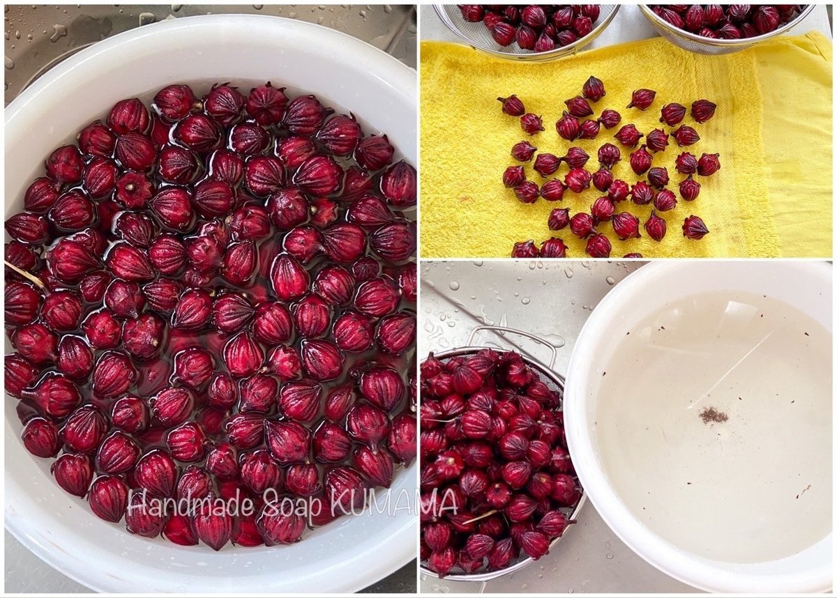 ローゼル青萼　種抜き処理済 　元重量2kg分　④ ローゼル2020 (1)下処理｜ゆりくま 〜せっけんと葉っぱと色と香り〜