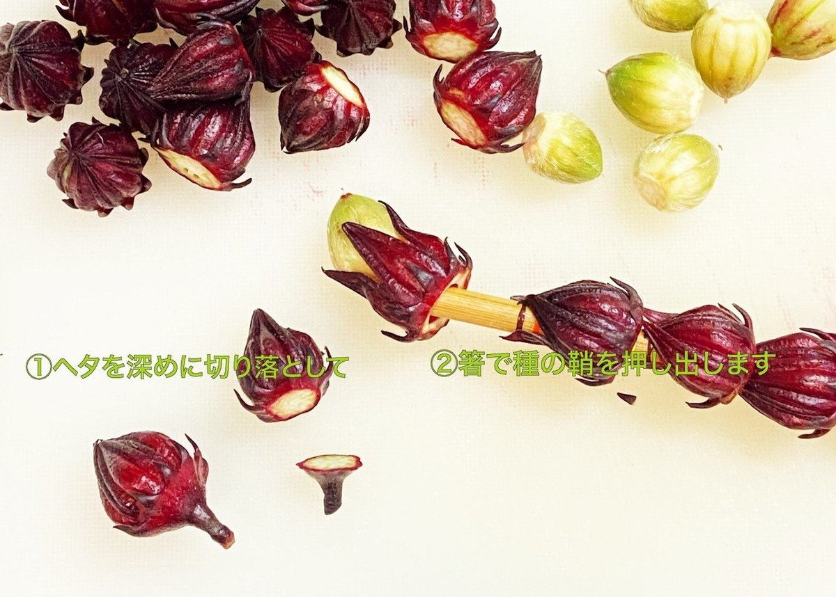 ローゼル2020 (1)下処理｜ゆりくま 〜せっけんと葉っぱと色と香り〜