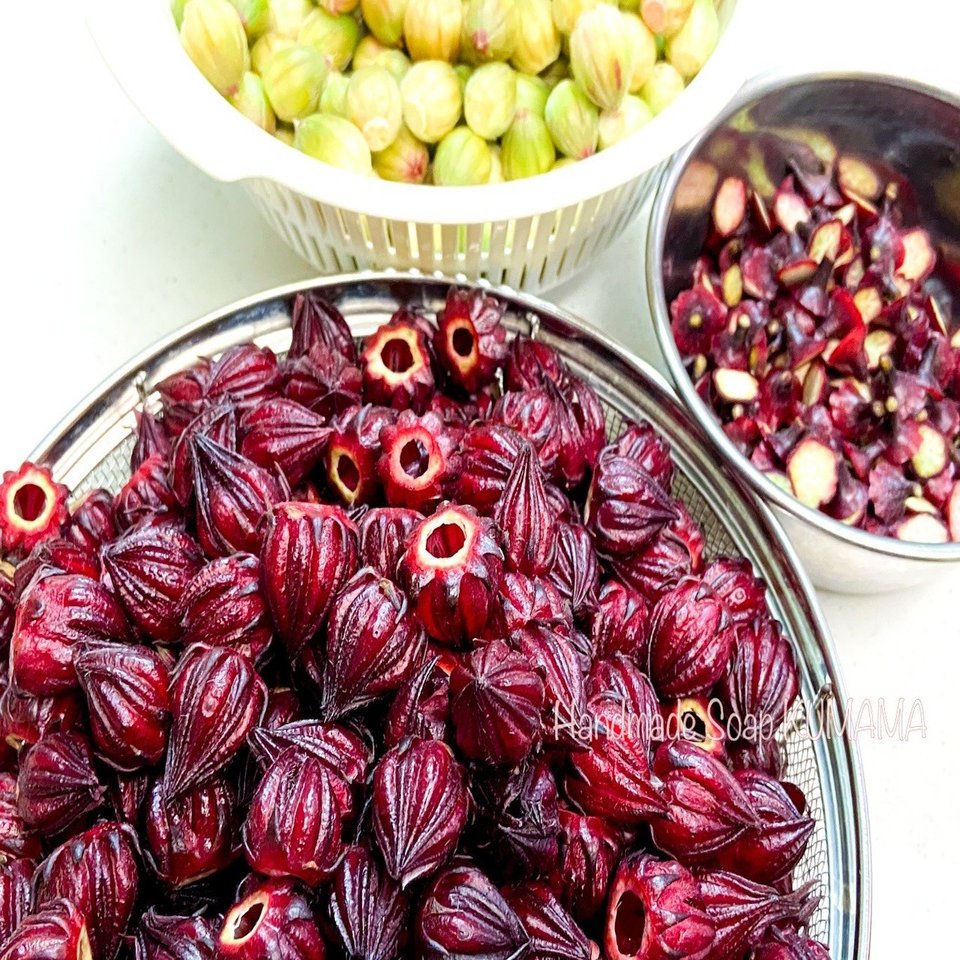 ローゼル青萼　種抜き処理済 　元重量2kg分　④ ローゼル青萼 種抜き処理済 元重量2kg分 ⑤ ローゼル青萼 種抜き処理済