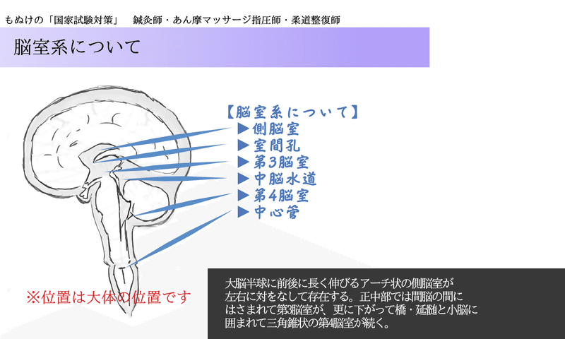 解剖学 ゴロで覚える脳室の種類 森元塾 国家試験対策 Note