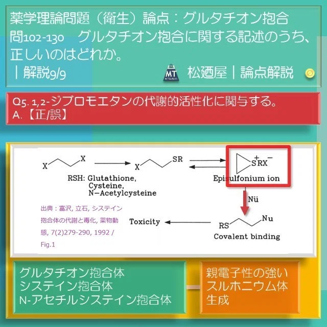 スライド11