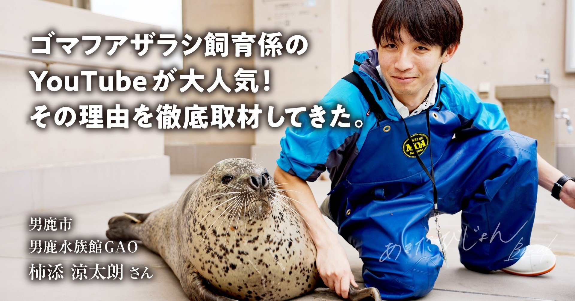 ゴマフアザラシ飼育係のYouTubeが大人気！その理由を徹底取材してきた