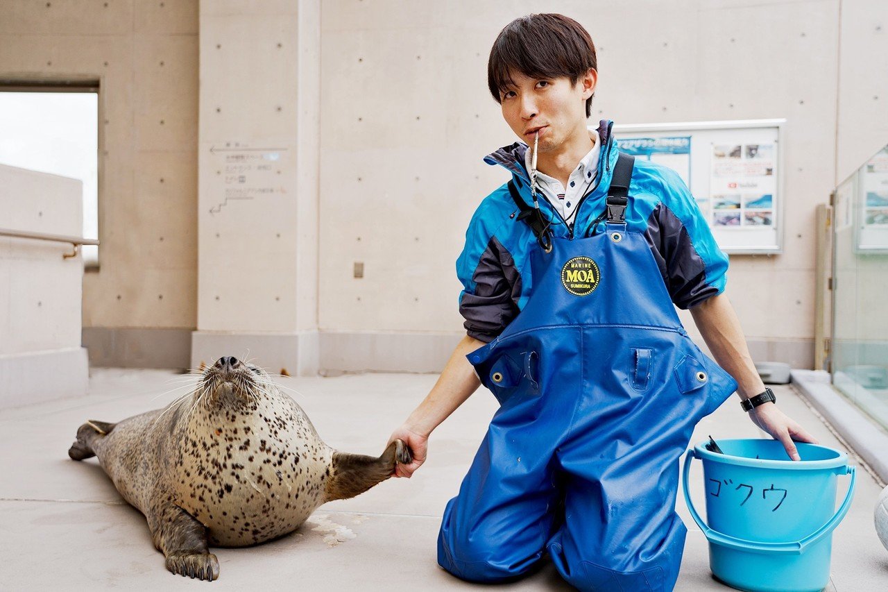 ゴマフアザラシ飼育係のYouTubeが大人気！その理由を徹底取材してきた