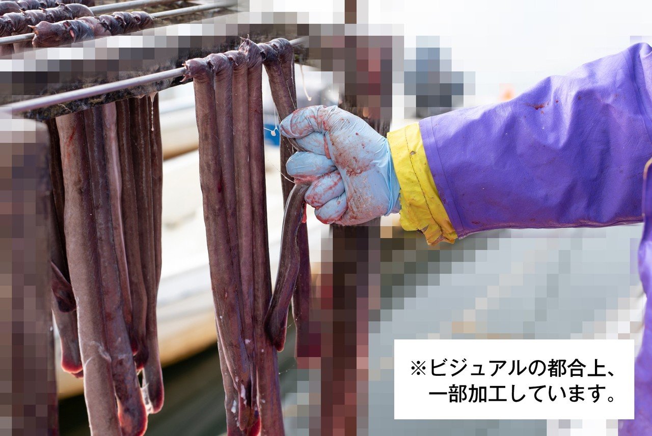 秋田県内で唯一 棒アナゴ を作る漁師の思い 株式会社兼丸漁業 伊藤徳洋 あきたびじょんbreak Note 秋田県内で唯一 棒アナゴ を作る漁師の思い 株式会社兼丸漁業 伊藤徳洋 あきたびじょんbreak Note