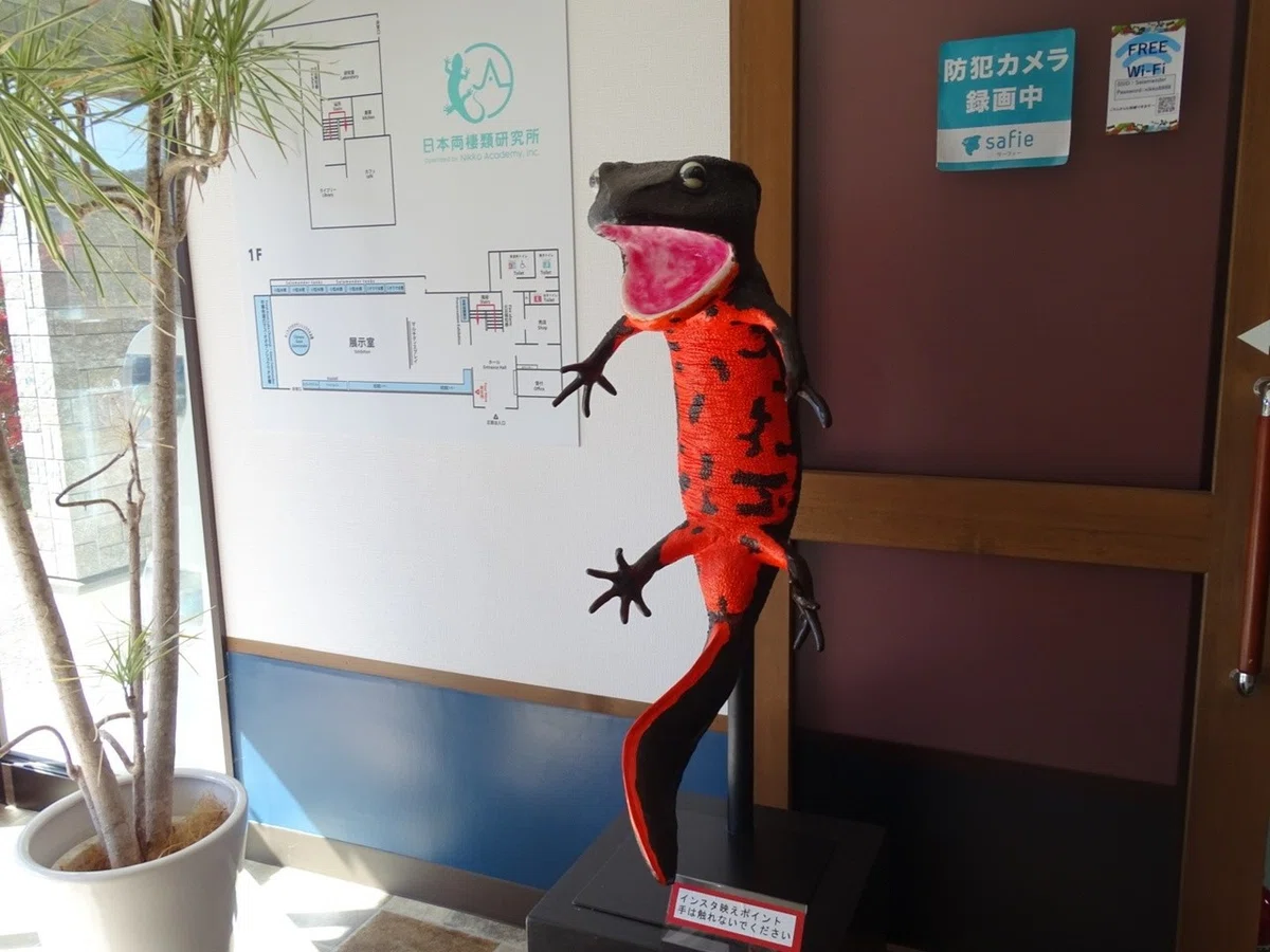 画像5